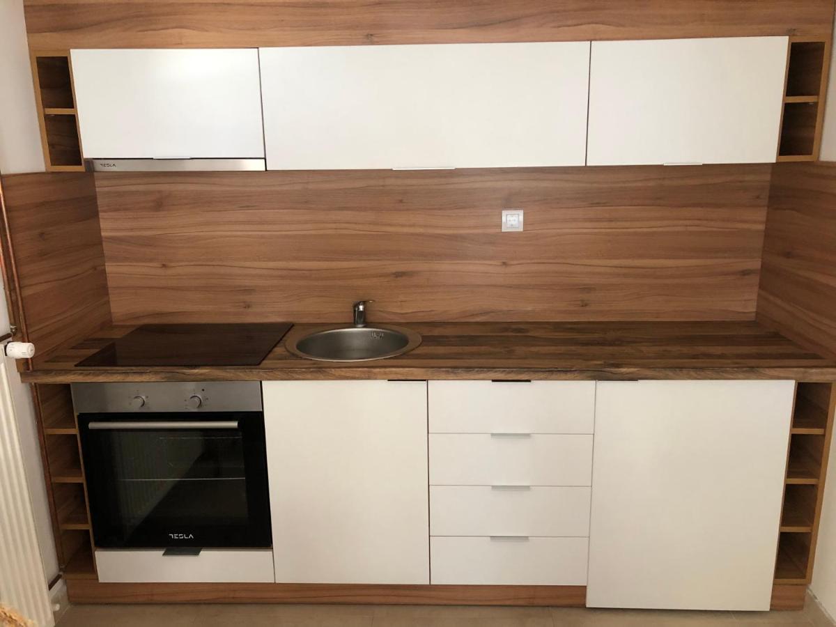 Apartmani Tesla ソコバニャ エクステリア 写真