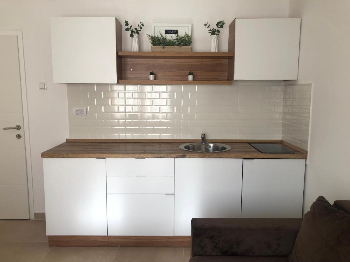 Apartmani Tesla ソコバニャ エクステリア 写真